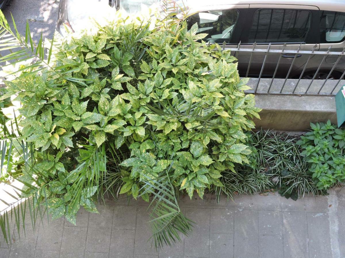 Nice/nizza : Leilighet Nice